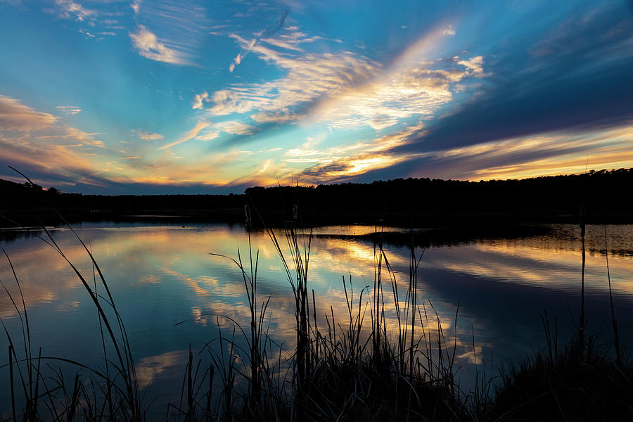 Huntington Marsh Photograph by Dan Caskie Fine Art America