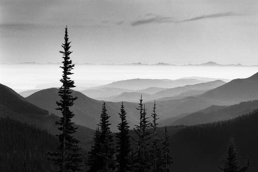 Hurricane Ridge Photograph - Hurricane Ridge, Olympic Mountains, Washington 92 by Monte Nagler