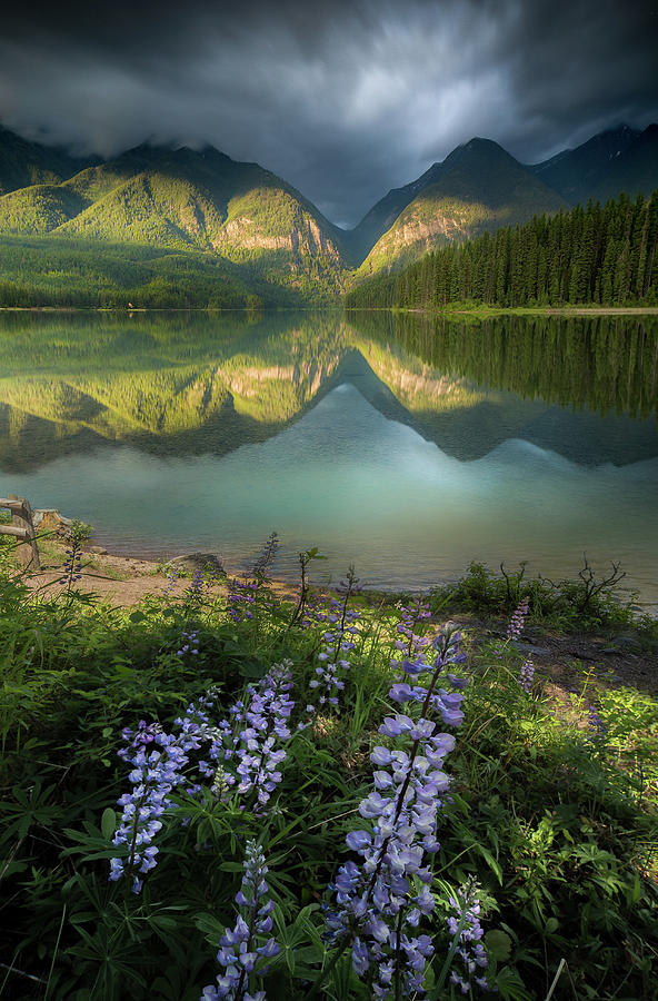 Hurried Light / Holland Lake, Montana by Nicholas Parker Hurried Light / Holland Lake, Montana by Nicholas Parker