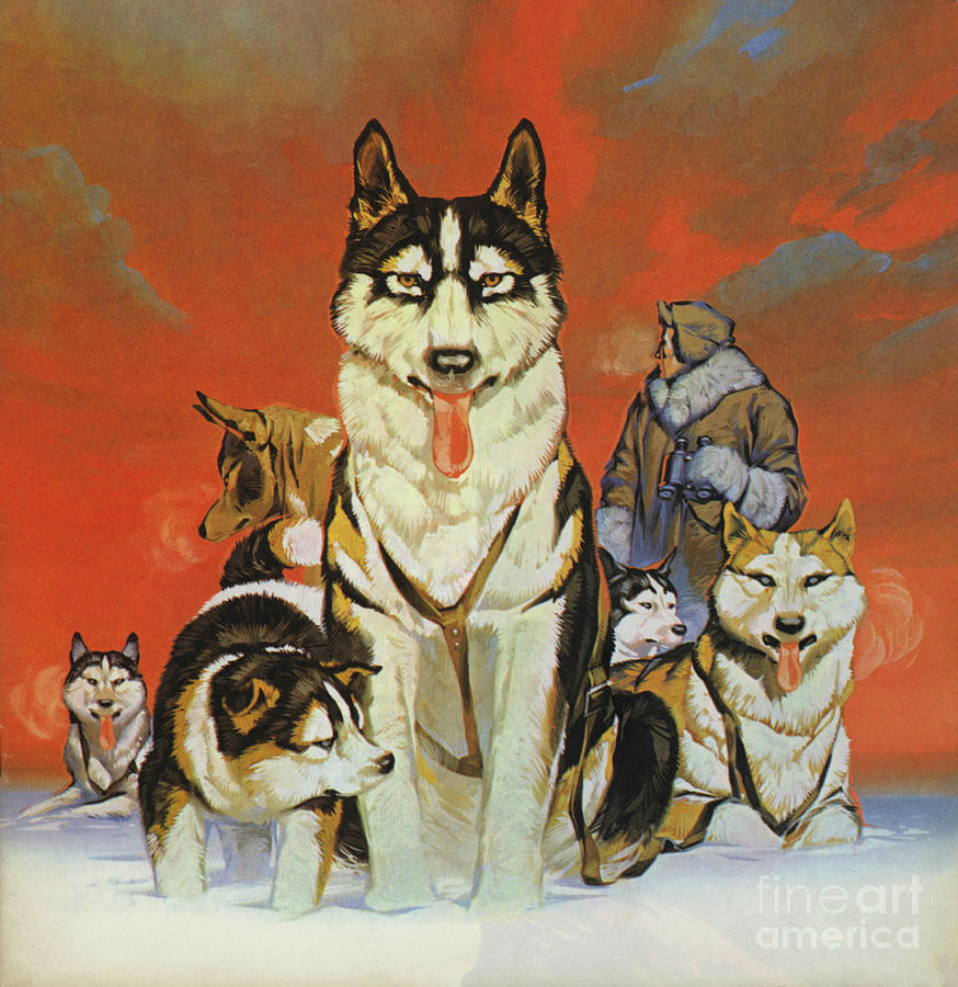 Huskies Painting by Angus McBride