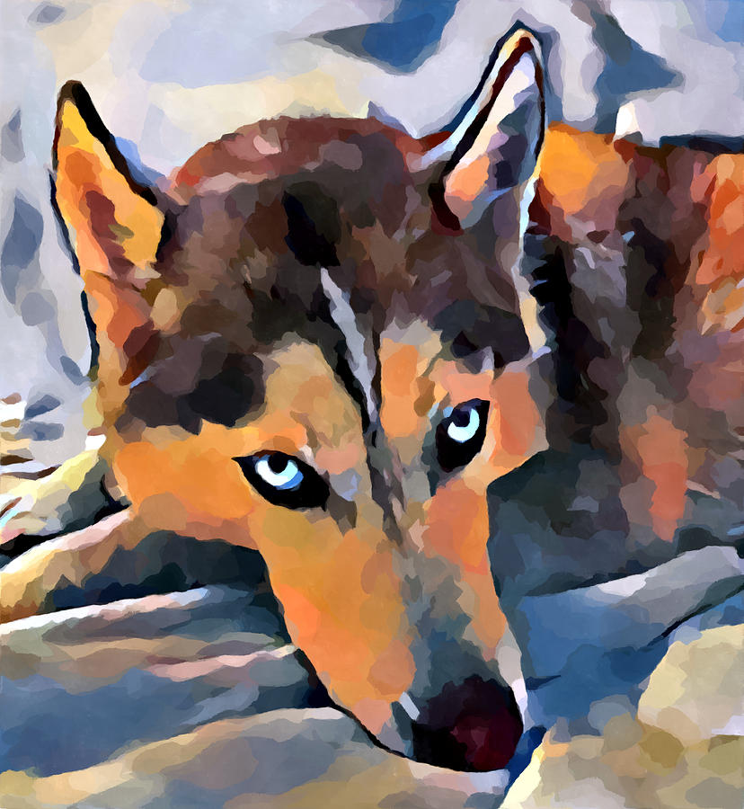 Husky 5 Painting by Chris Butler