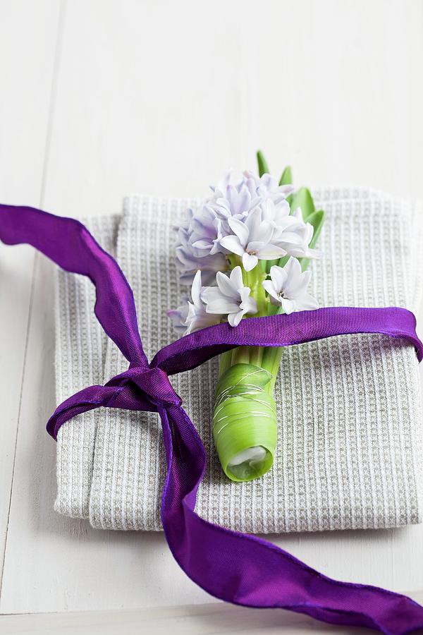 Hyacinth And Purple Ribbon On Linen Napkin Photograph by Martina Schindler