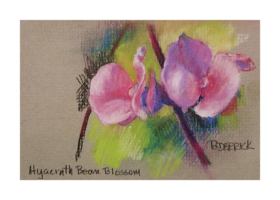 Hyacinth Bean Blossom Pastel by Betsy Derrick