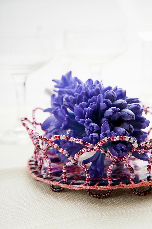 Hyacinth Flower In Small Wire Dish Threaded With Beads Photograph by Sabine Lscher