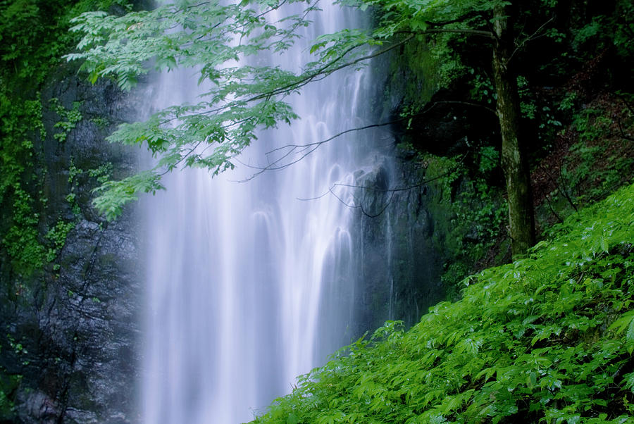 Hyakuhiro Falls Photograph by Isogawyi