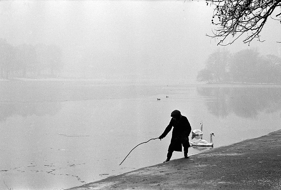 Winter Photograph - Hyde Park by Cornell Capa