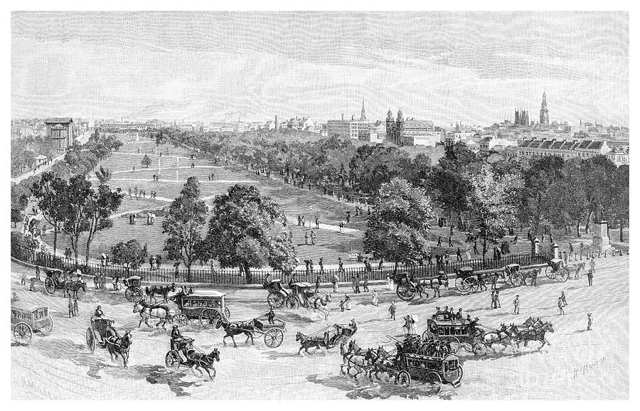 Hyde Park, Sydney, New South Wales Drawing by Print Collector