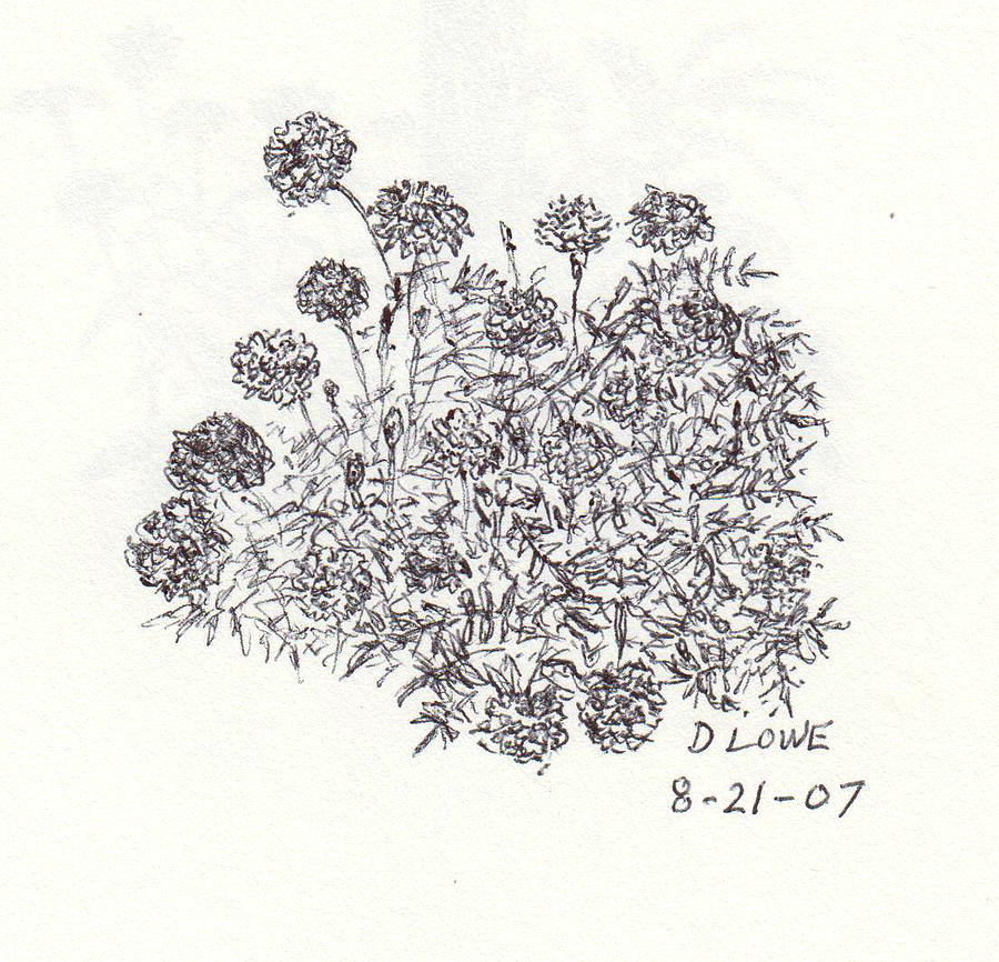https://images.fineartamerica.com/images/artworkimages/mediumlarge/2/hydrangea-blooms-danny-lowe.jpg