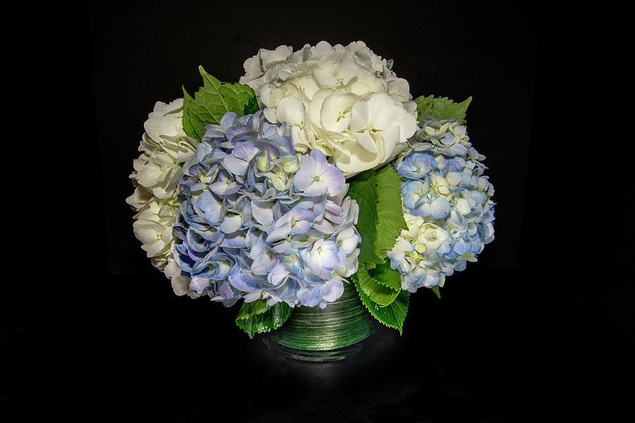 Hydrangea Bouquet Photograph by Sandi Kroll