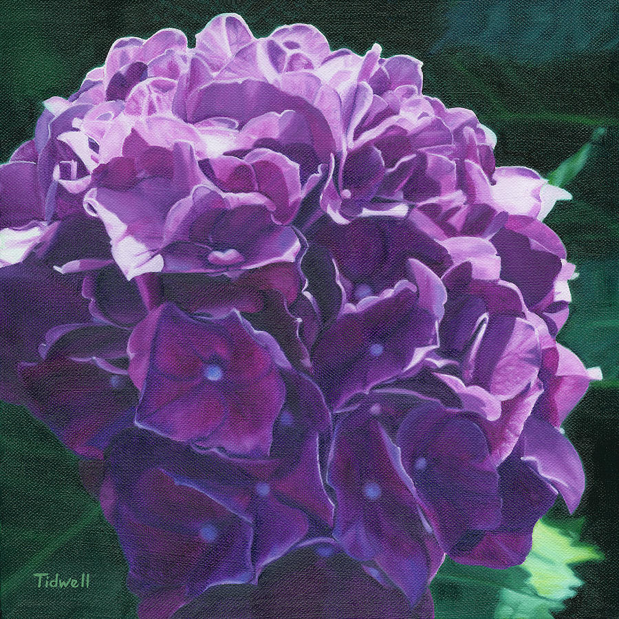 Hydrangea Painting by Deborah Tidwell Artist