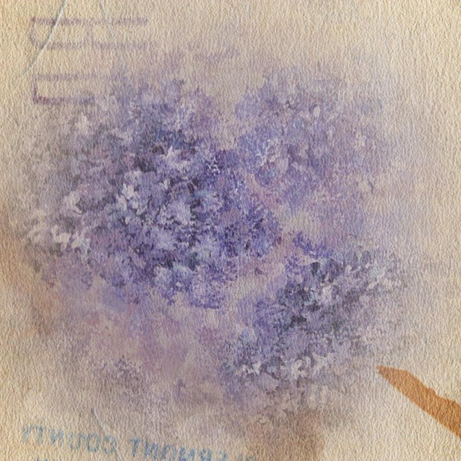 Hydrangea on old paper Digital Art by Megan Walsh