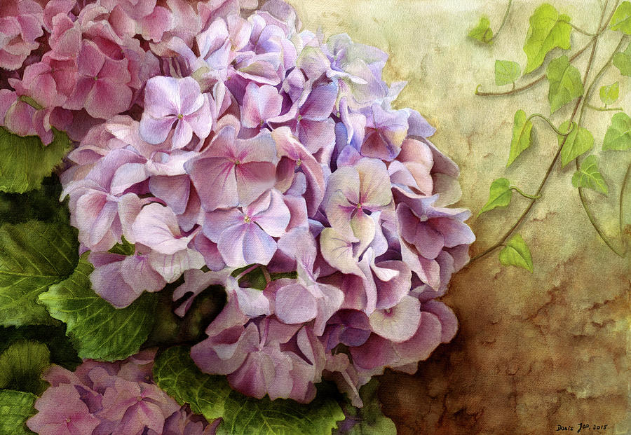 Flowers Painting - Hydrangea With Ivy by Doris Joa.