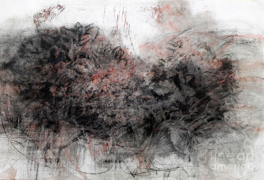 Flower Painting - Hydrangeas, 2023 Oil On Paper By Marina Falco by Marina Falco