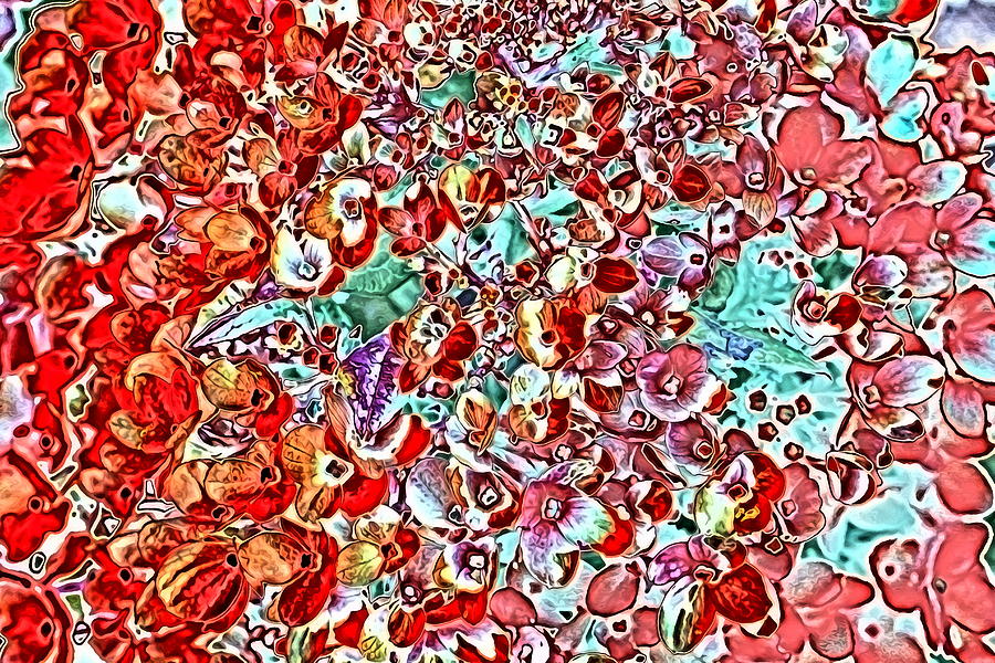 hydrangeas in red by AJP hydrangeas in red by AJP
