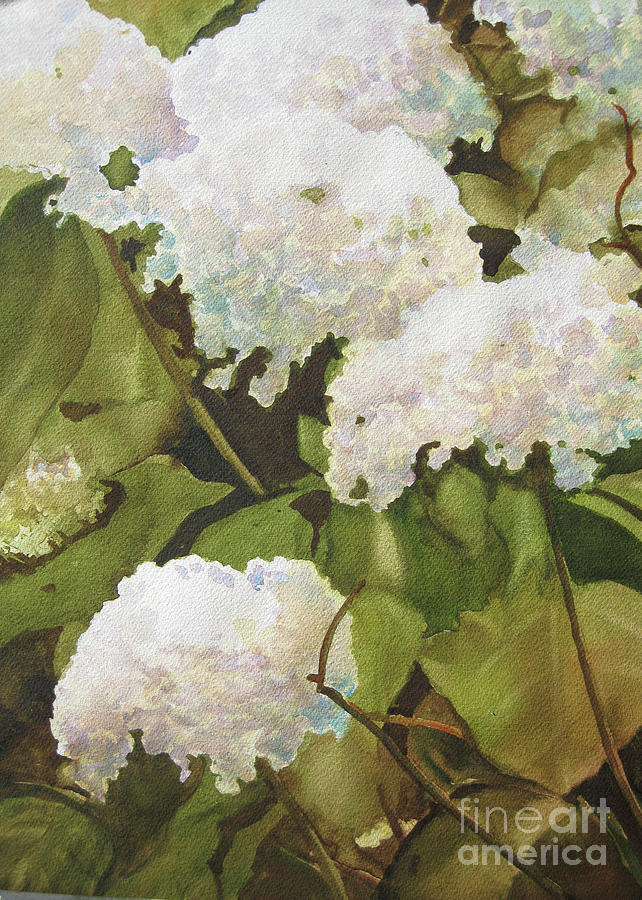 Hydrangeas Painting by Shirley Braithwaite Hunt