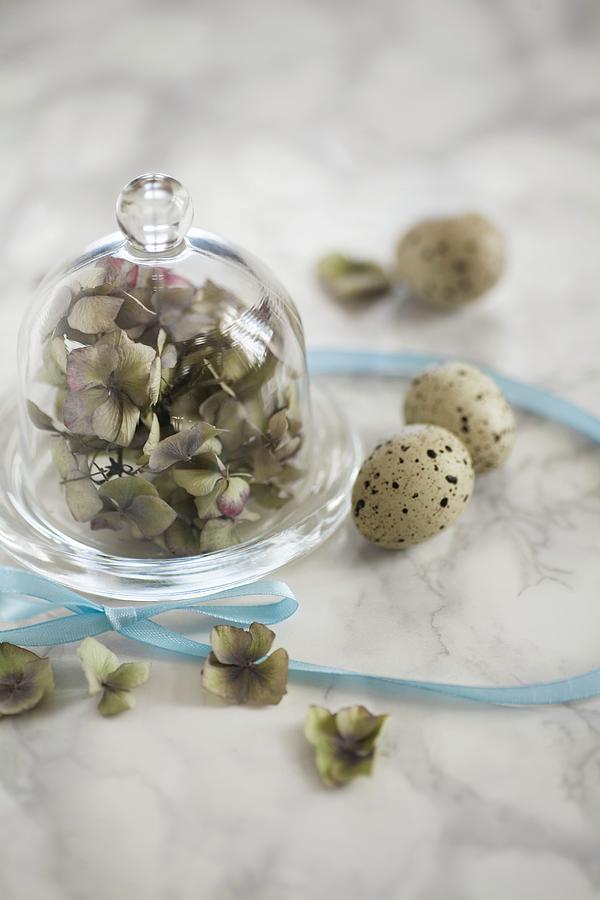 Hydrangeas Under A Glass Cloche, Quails Eggs And A Ribbon On A Marble Surface Photograph by Alicja Koll
