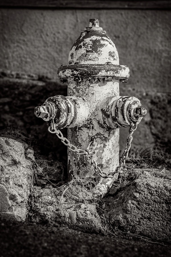 Hydrant in Black and White Photograph by Kelley King