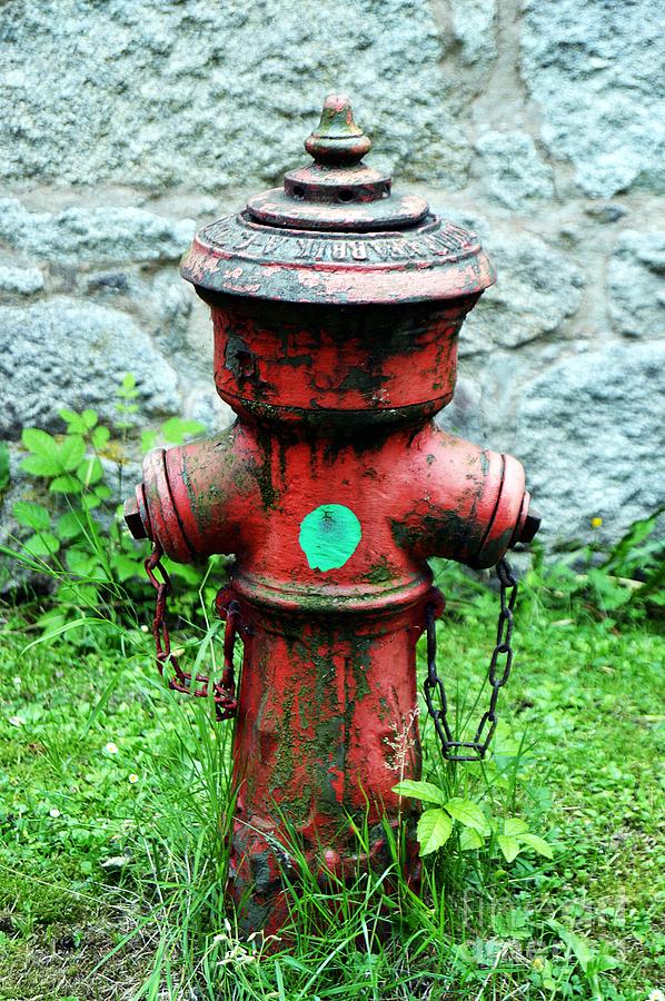Hydrant Photograph by Thomas Schroeder