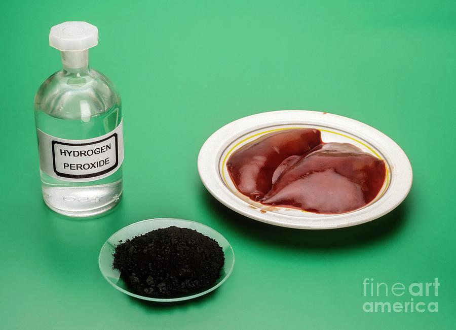 Hydrogen Peroxide Experiments Photograph by Martyn F. Chillmaid/science Photo Library