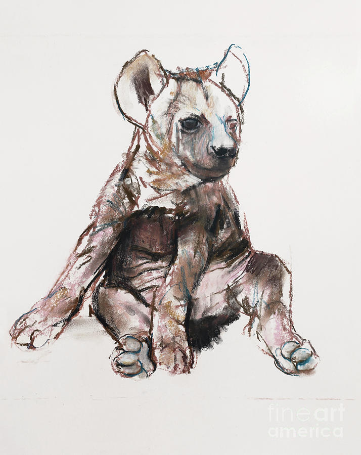 Hyena Pup, sitting up Pastel by Mark Adlington