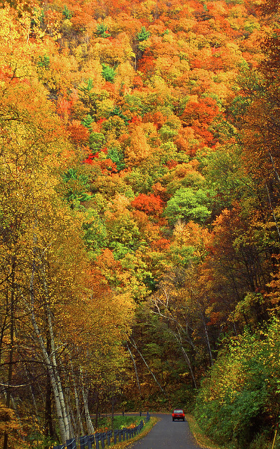 Hyner View Fall Foliage PA Photograph by Blair Seitz Fine Art America