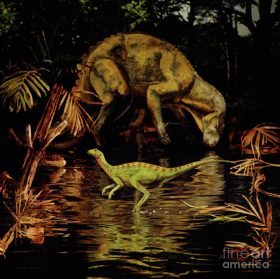Hypsilophodon and Iguanodon Photograph by Warren Photographic
