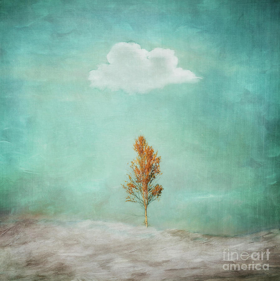 Tree Photograph - I am not dark said the cloud by Priska Wettstein