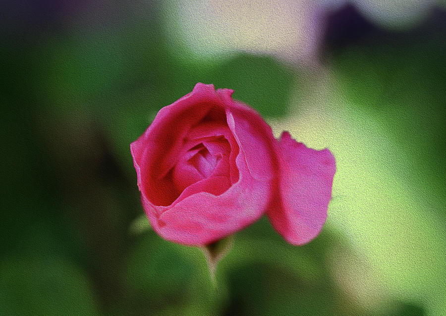 I Am Not Perfect And That Is OK by Johanna Hurmerinta I Am Not Perfect And That Is OK by Johanna Hurmerinta
