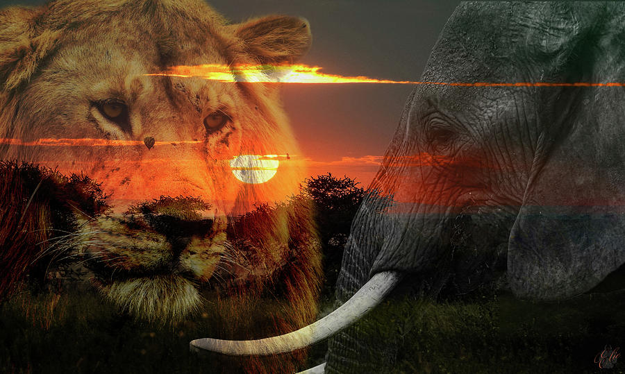 I AM SERENGETI by Elie Wolf I AM SERENGETI by Elie Wolf