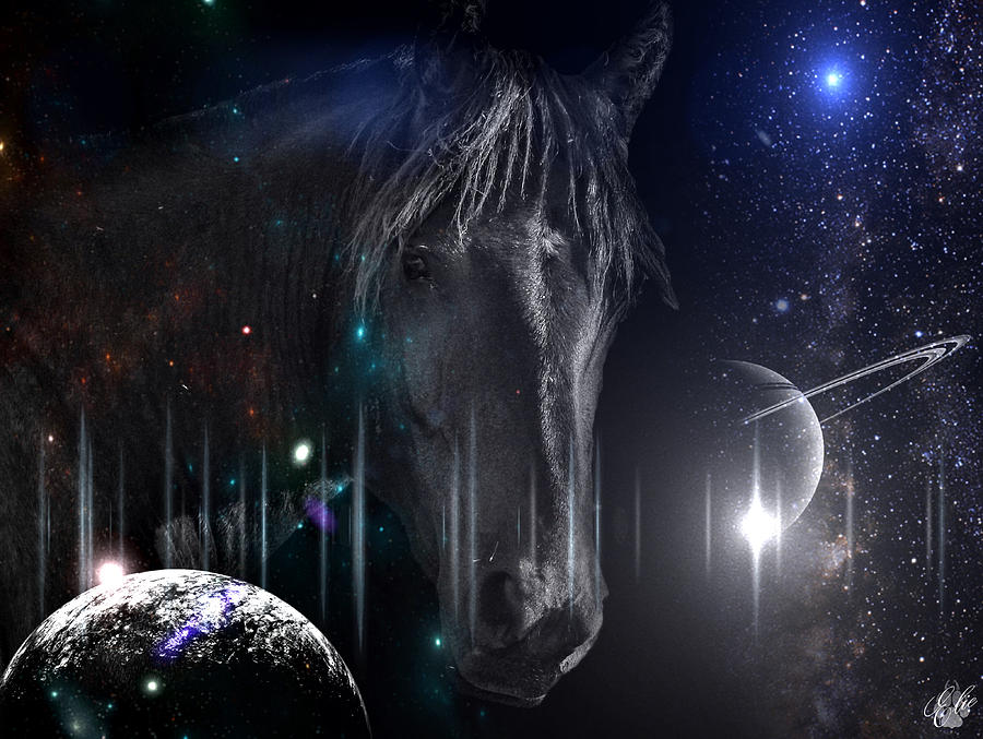 I AM THE UNIVERSE by Elie Wolf I AM THE UNIVERSE by Elie Wolf