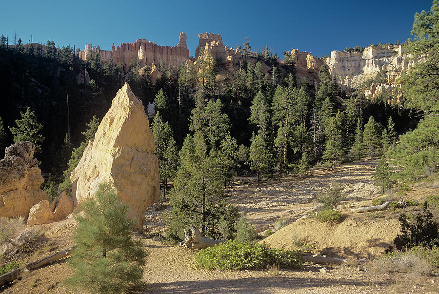 Rock Formations Photograph - I- Bryce Canyon by Gordon Semmens