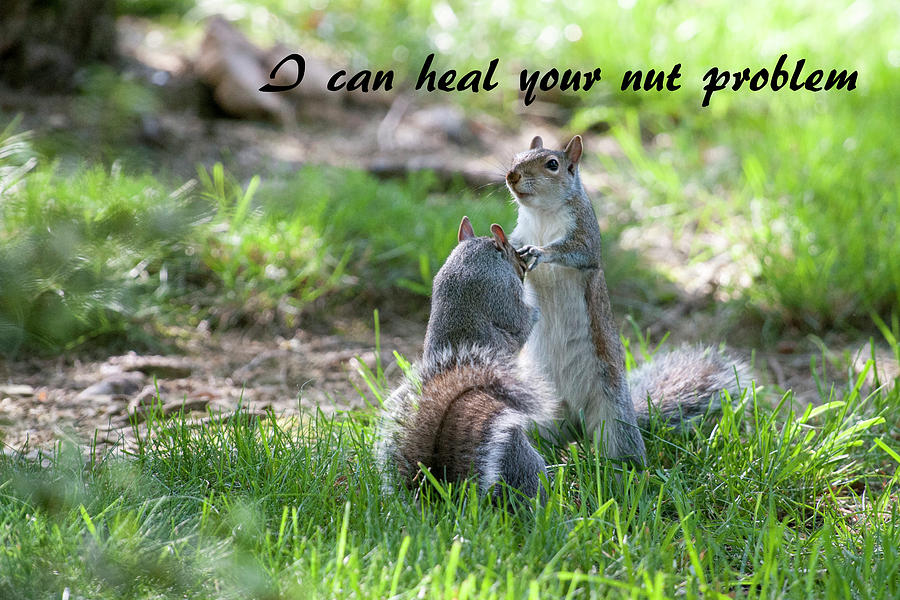 I can heal your nut problem Photograph by Daniel Friend