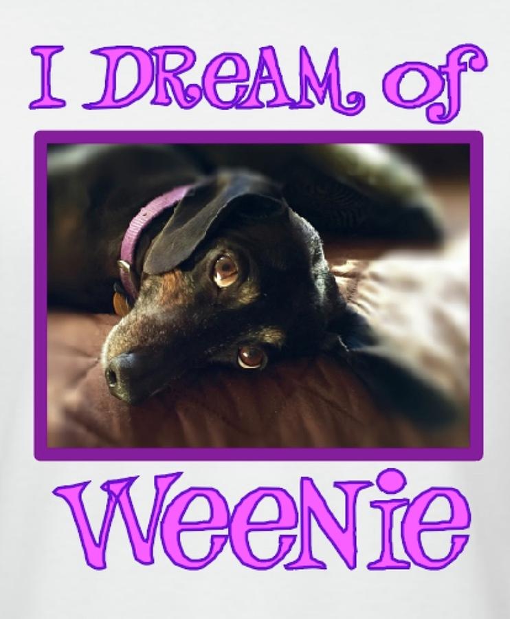 I Dream of Weenie Photograph by Richard Dennis