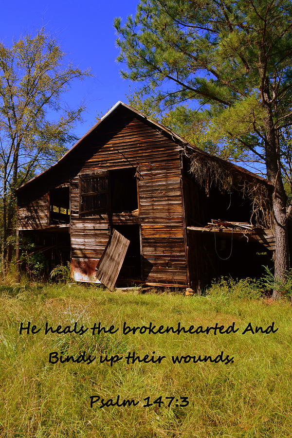 I Have Seen Better Days Psalm 147 3 Photograph by Lisa Wooten