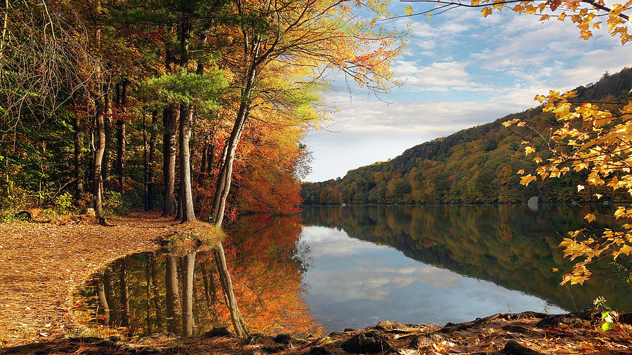 I Heart Autumn Photograph by Simmie Reagor - Fine Art America