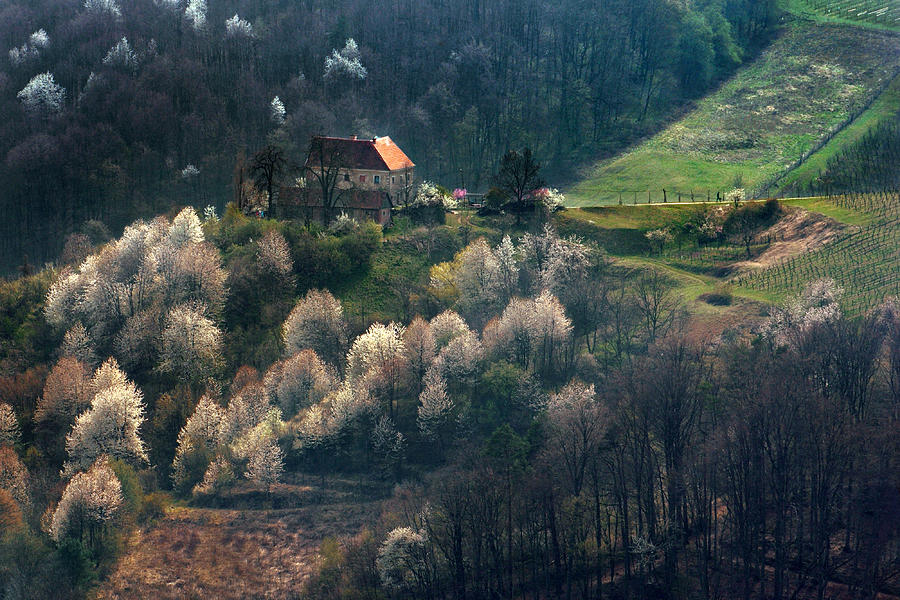 Austria Photograph - I Love April by Jure Kravanja