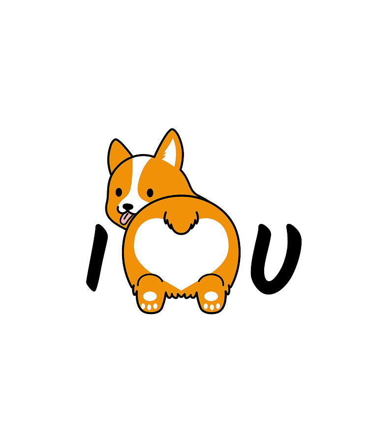 love corgis and you Digital Art by Stardust