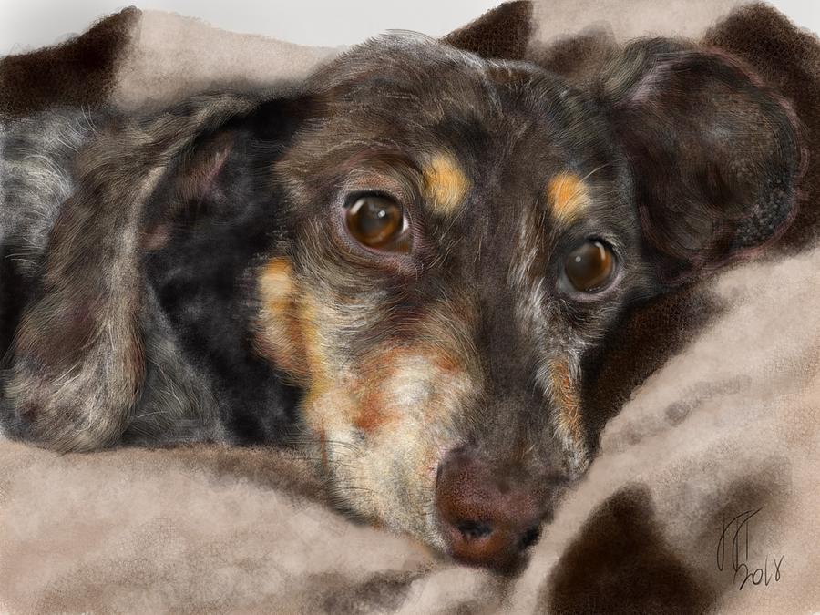 I Love My Blanket  Painting by Lois Ivancin Tavaf