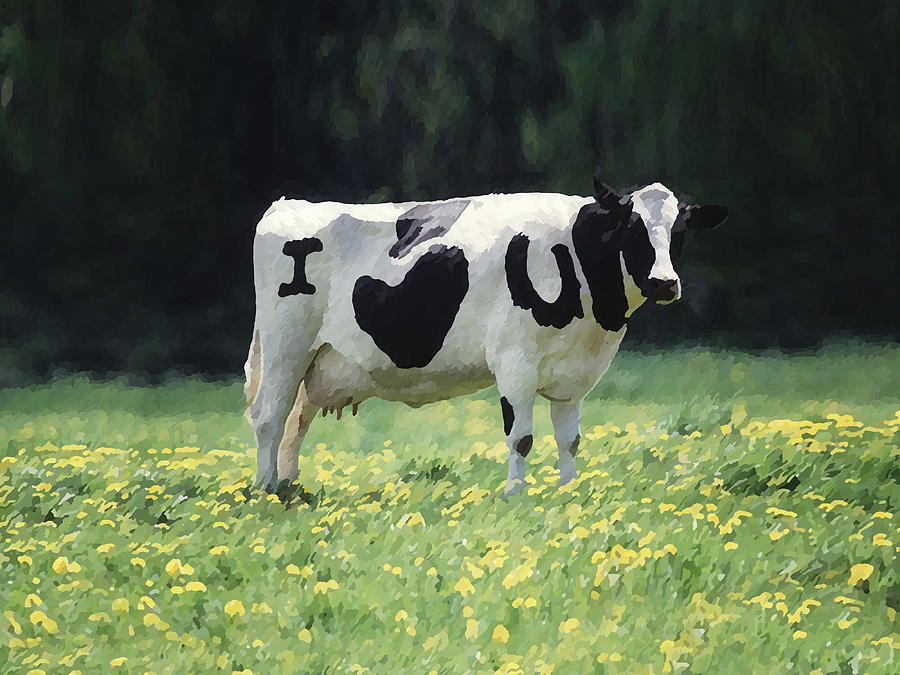 I Love You Cow Digital Art by Kent Lorentzen