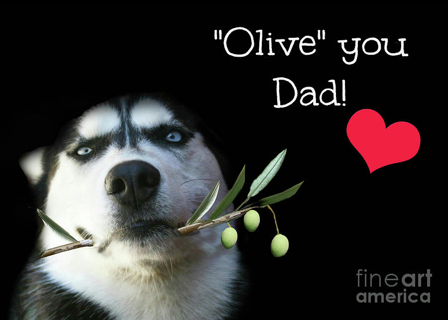 I Love You Dad Husky and Olive Branch Photograph by Stephanie Laird