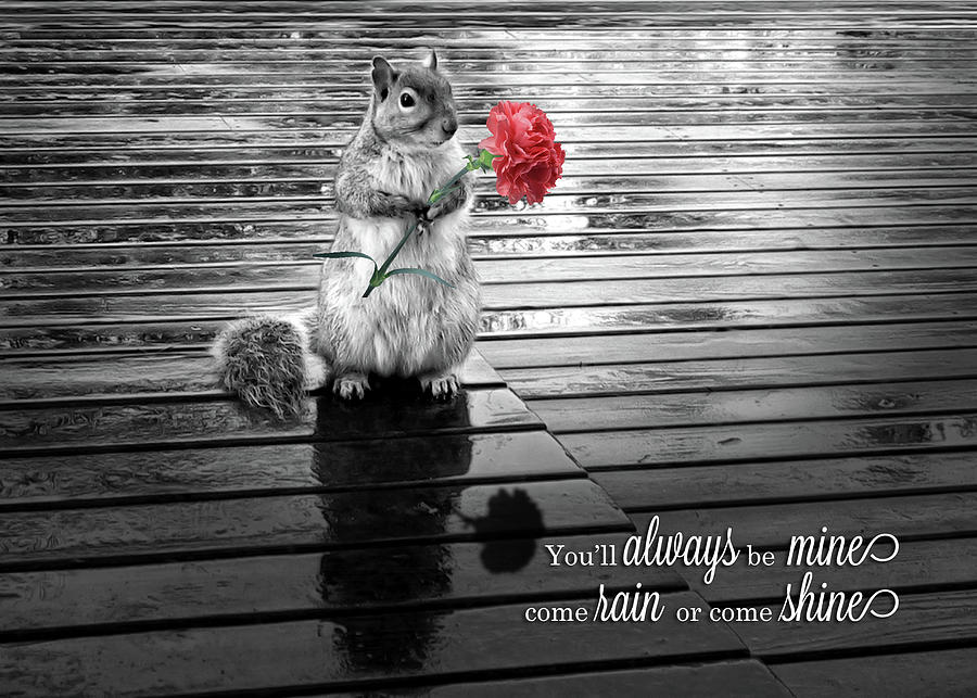 I Love You Squirrel with Carnation Black and White Digital Art by Doreen Erhardt