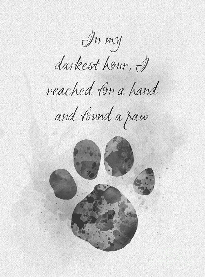 Inspirational Mixed Media - I reached for a hand and found a paw black and white by My Inspiration