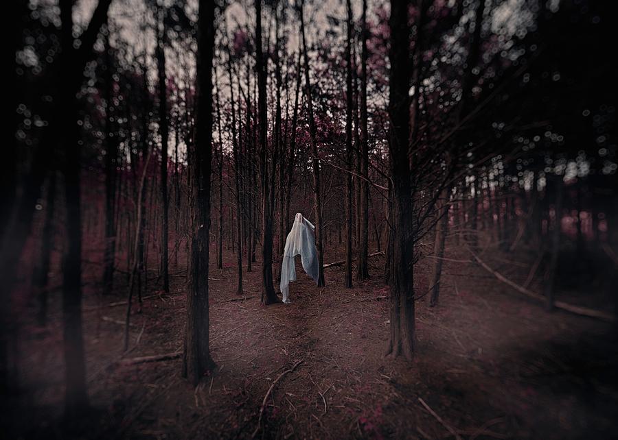 I Saw A Shape by Michael Reynolds I Saw A Shape by Michael Reynolds