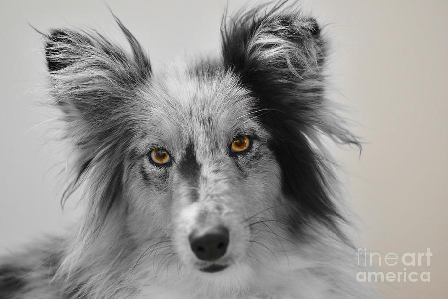 I See You by Michael Graham I See You by Michael Graham