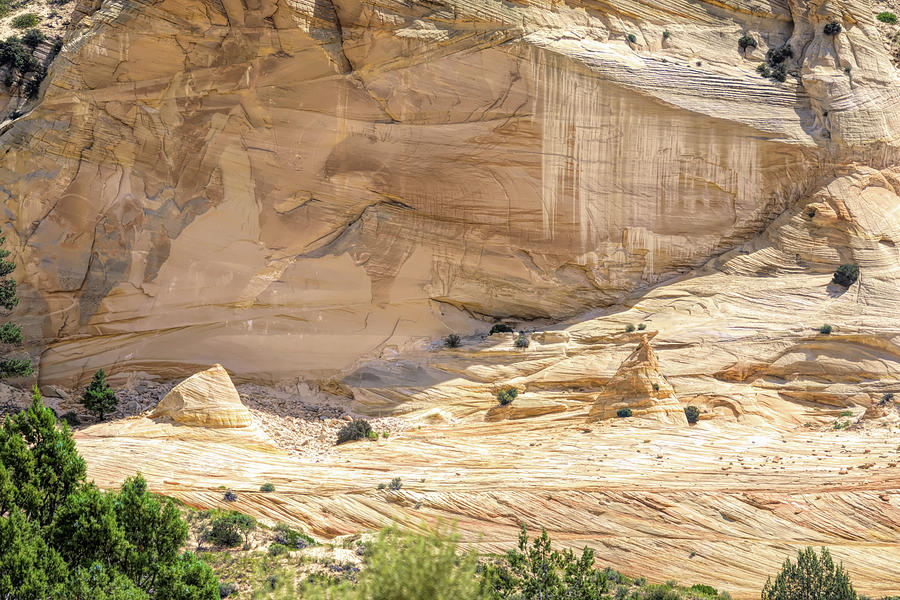 I Spy Birds, Animals, Faces on the Swapp Canyon Wall - Utah Photograph by Debra Martz