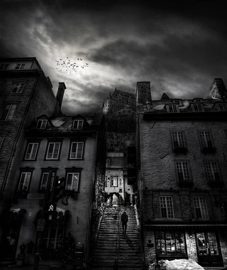 City Photograph - I Walk Alone by Robert Thomson
