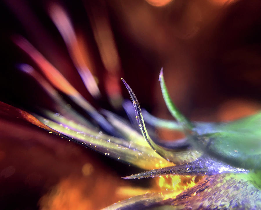 I was just as surprised as you are by Michael Van Huffel I was just as surprised as you are by Michael Van Huffel