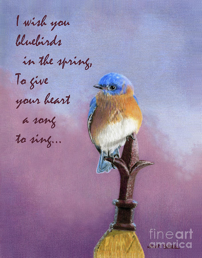 I Wish You Bluebirds in the Spring to Give Your Wall Decal Vinyl Art Sticker J47 