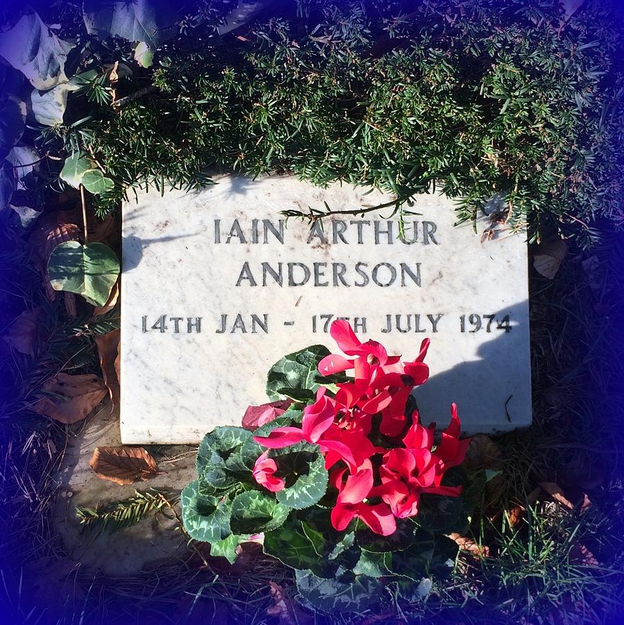 Iain Arthur Anderson - My Little  Boy  Blue Photograph by VIVA Anderson