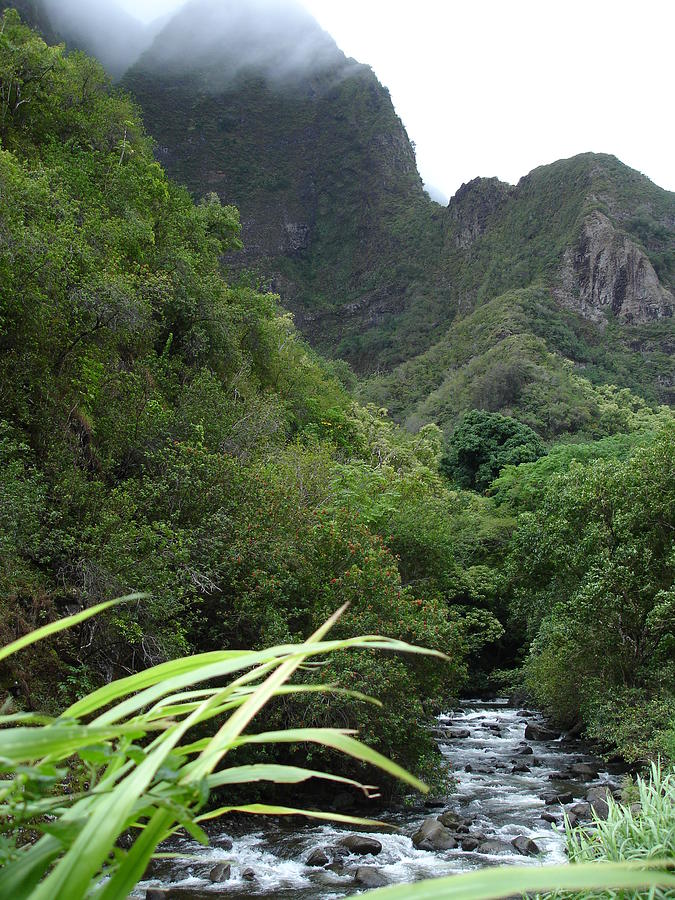 Iao Valley State Park On Maui Hawaii Photograph by Pastorscott